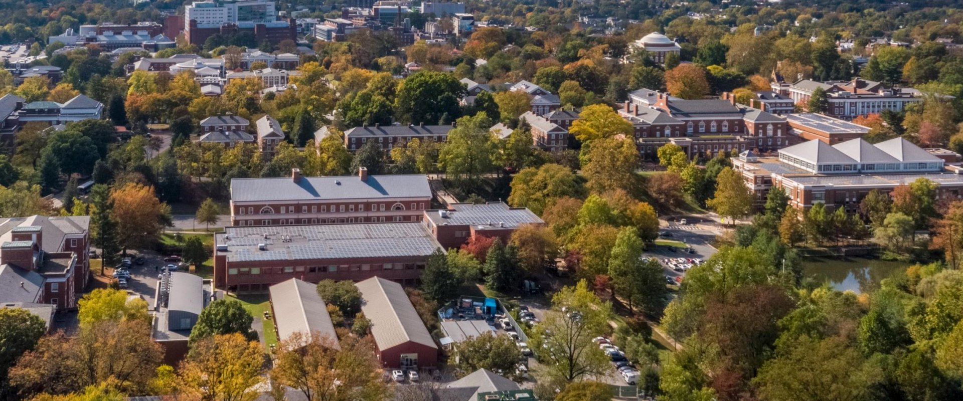 Uncovering the Best Business Opportunities in Central Virginia
