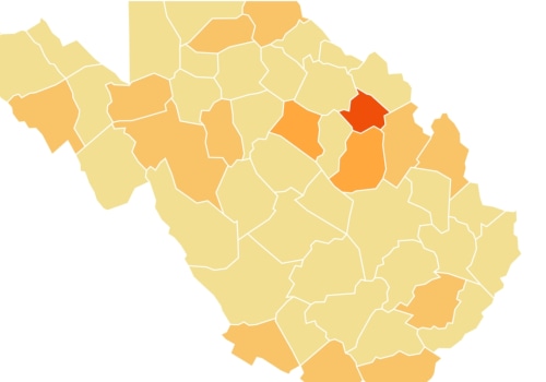 Exploring the Most Popular Types of Local Businesses in Central Virginia